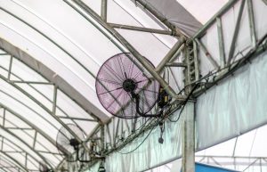 พัดลมไอน้ำให้เช่า พัดลมให้เช่า อกาเต็นท์ผ้าใบ